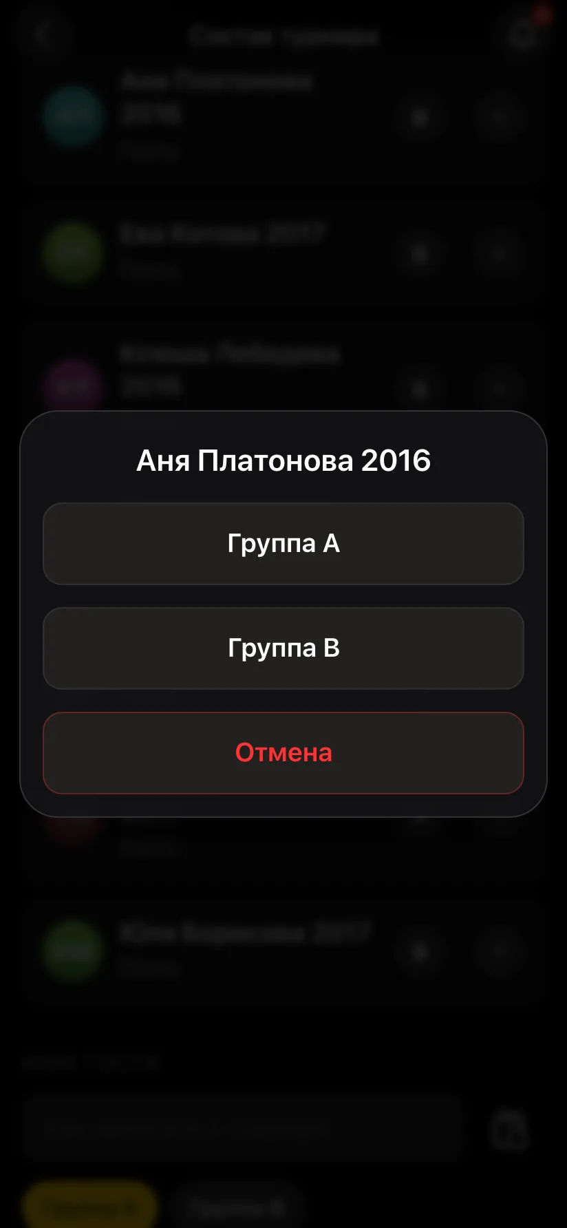 Окно выбора группы для гостя Аня Платонова 2016: Группа A, Группа B, Отмена